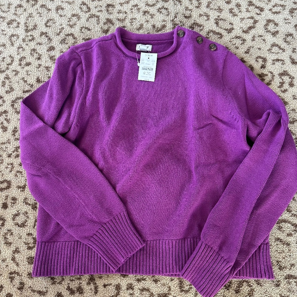 J Crew Roll neck Sweater